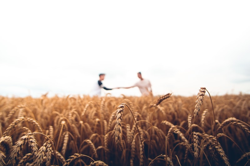 Agriculture & Mandi